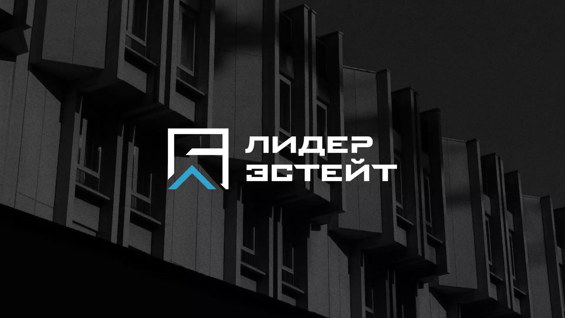 Разработка логотипа агентства недвижимости «Лидер Эстейт» в Берёзовском